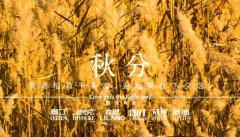 秋分丨晝夜分畫，漸入秋華