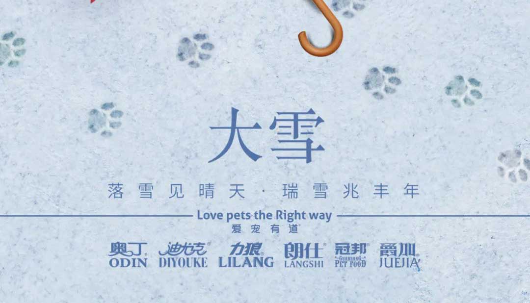 大雪丨雪落知寒意 久伴見初心！