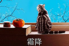 霜降丨縱然霜華盡染，心中美好如初